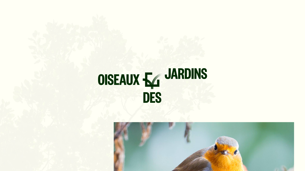 Projet Oiseaux des jardins 1